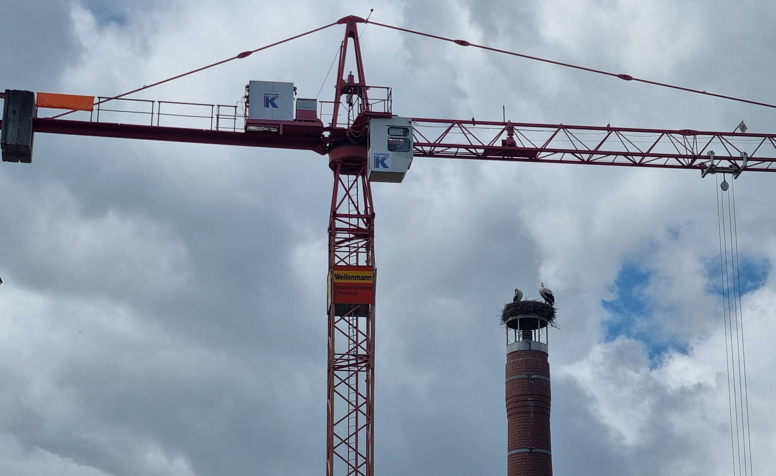 EFH+MFH Tonackerstrasse Volketswil